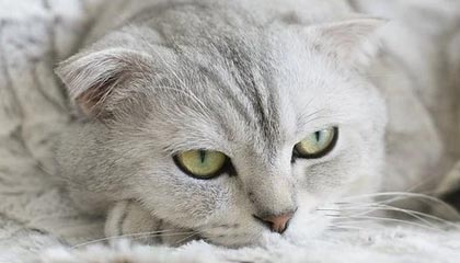 曼城搅局！赫塔德国新秀成四雄争夺对象，巴萨“低成本”计划能否自救？